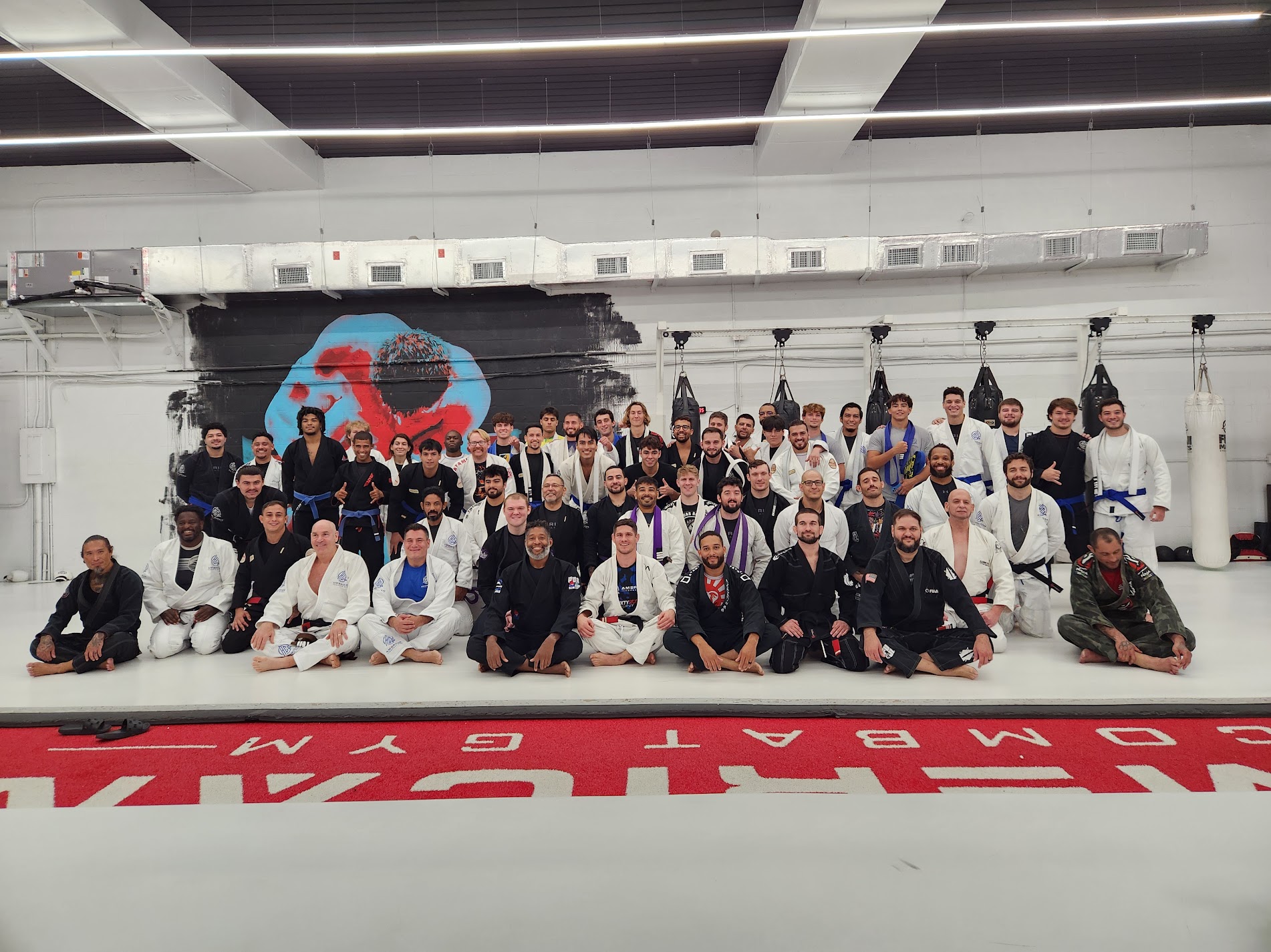 Brazilian Jiu-Jitsu Class